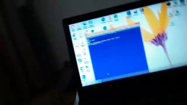 VLOG.02.12.19.Паскаль смотреть онлайн