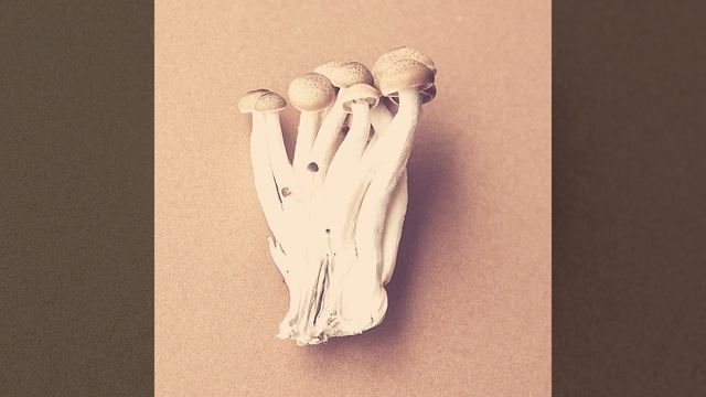 Музыка (Концентрация) смотреть онлайн