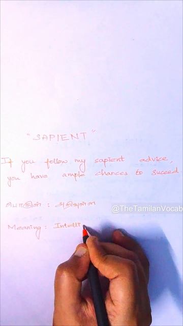 Today’s Word #14 смотреть онлайн