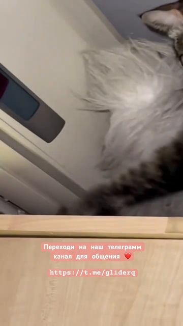 Сахарный Поссум 🌸 Переходи сюда , если хочешь знать больше о содержании https://t.me/gliderq смотреть онлайн