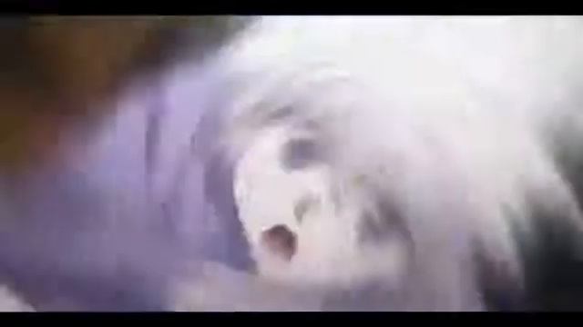 Аниме мувик смотреть онлайн