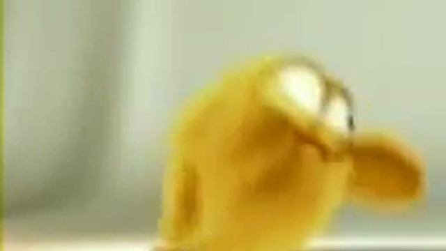 Цыпа Цыпа Цыпа!! :* смотреть онлайн