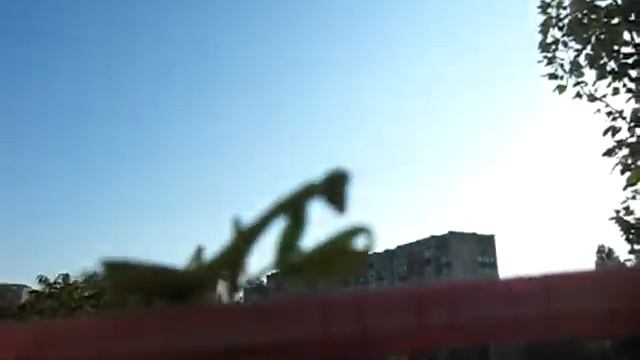 Богомол смотреть онлайн