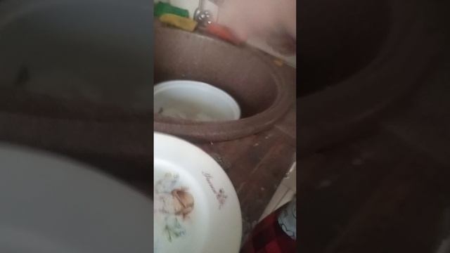 Моя сестра сделала вкусный суп