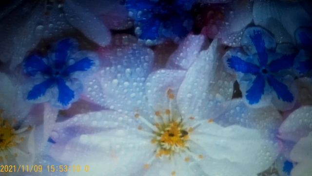 Тарлавина Света - принес ей МУКБАНг счастье смотреть онлайн