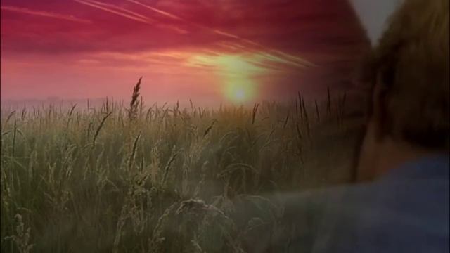 Ночью выйду в поле с конем смотреть онлайн