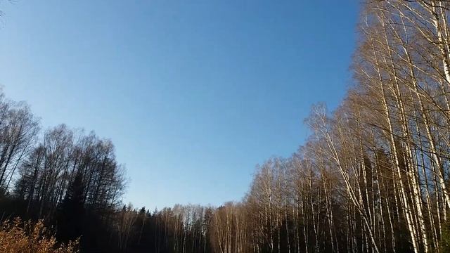 Красота России