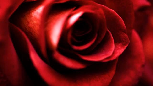 Лучший русский клип о любви онлайн смотреть онлайн