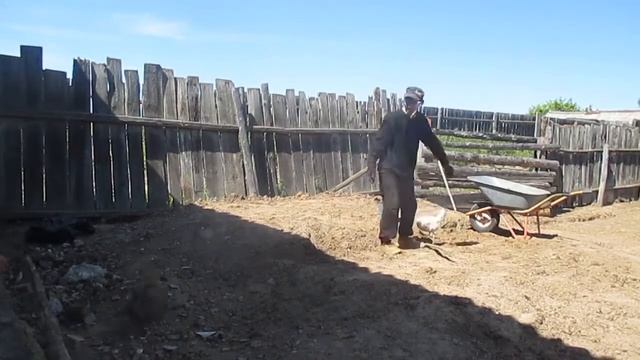 Трудовые будни (таймлапс). Пакет. смотреть онлайн