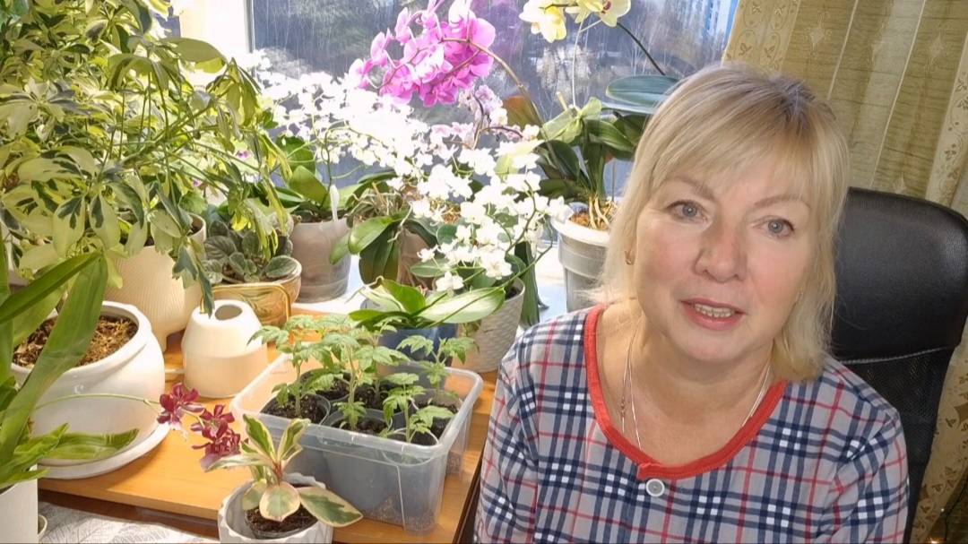 Сдвинула СРОКИ ПОСЕВА.Теперь рассада растет быстрее.Покупки в Лемана. Отметили 8 летие смотреть онлайн