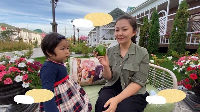 Көкөністер 🍅🌽 Овощи на казахском 🌶 Vegetables for kids смотреть онлайн