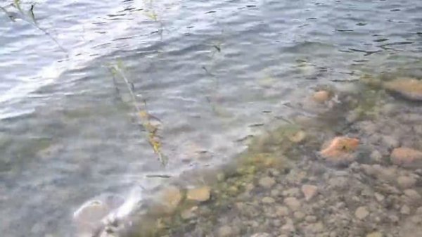 просто релакс