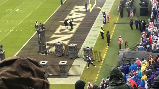 Baltimore Ravens vs. Tampa Bay Buccaneers! Club level seating смотреть онлайн