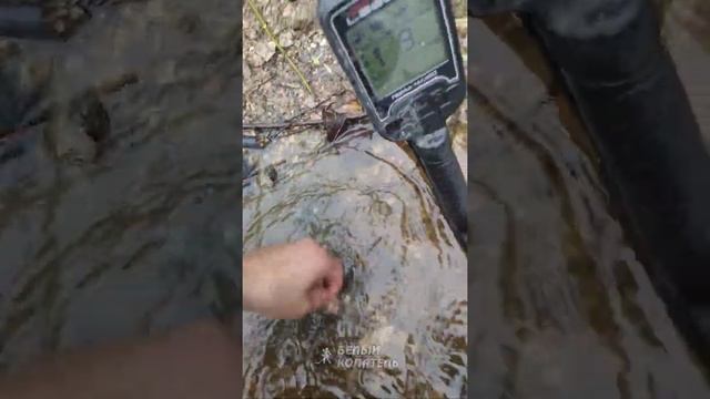 Фантастика! Золотое кольцо было в ракушке смотреть онлайн