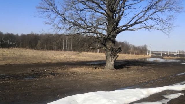 Весенние каникулы у Андрюшки смотреть онлайн