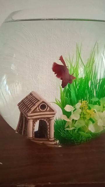 Подводный мир✨💕 смотреть онлайн