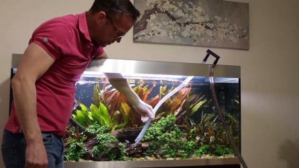 AQUASCAPE MAINTENANCE MADE EASY
