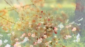 Габдулла Тукай шигыре ярдәмендә ел фасылларын өйрәнәбез