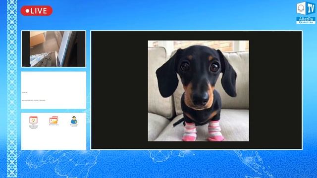 Перевод тест Англ2 смотреть онлайн