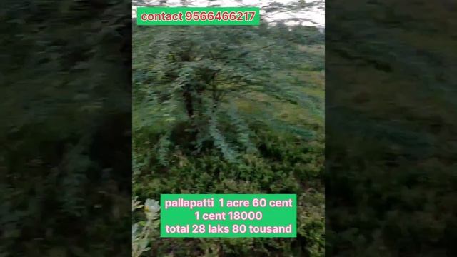 Dindigul district திண்டுக்கல் மாவட்டம் agri land for sale 1acre 60 cent. 1 cent 18000 смотреть онлайн