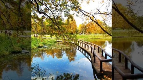 Природа Москвы...