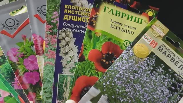Большой обзор семян красивых и необычных цветов для сада #семена #сад #семенацветов #обзорсемян смотреть онлайн