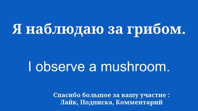 Лингвистические основы изучения английского языка смотреть онлайн