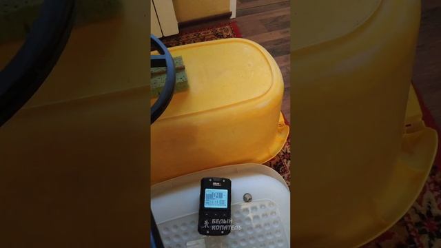 XP Deus 2 гвоздь и монета смотреть онлайн