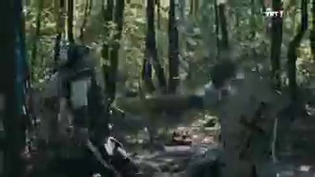 Отрывок из 118 серии фильма Воскресший Эртугрул смотреть онлайн