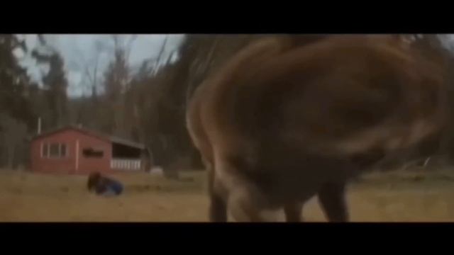 глазами школьника угар 😂😂😂 смотреть онлайн