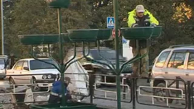В Сочи появились Мобильные деревья. Новости 24 Сочи смотреть онлайн