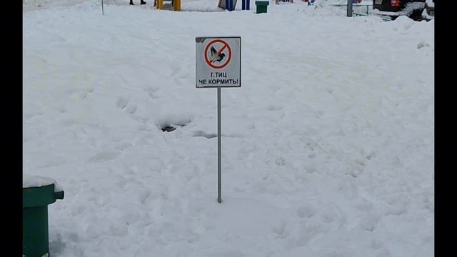 Дорожные знаки в городе. Часть 3. смотреть онлайн