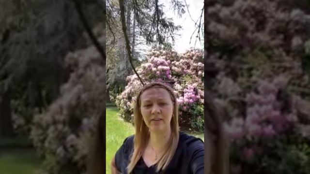 Подставные фото. Влад Бахов смотреть онлайн