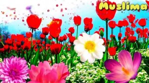 Юрак сиқилиб Хафа бу́лганда ушбу дуони у́қинг Иншааллох