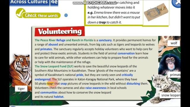 Grade 9 Volunteering