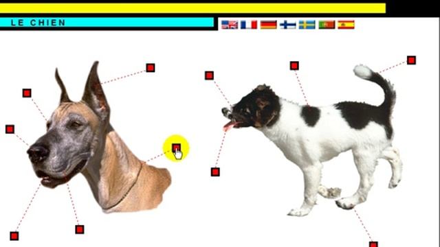 урок французского языка = Vocabulaire = Le Chien