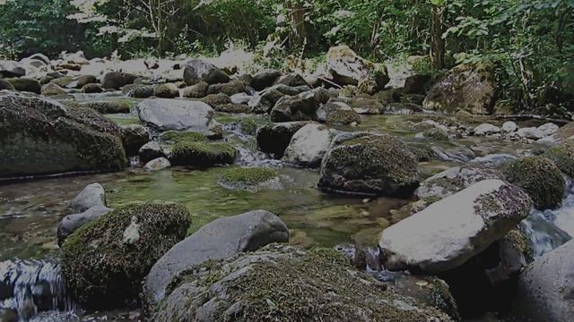 Ручей _ Звуки для сна и расслабления смотреть онлайн
