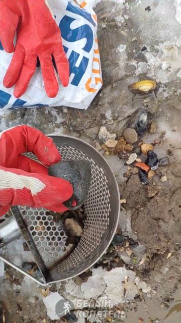 Почистил пляж от мусора. Находки есть! смотреть онлайн