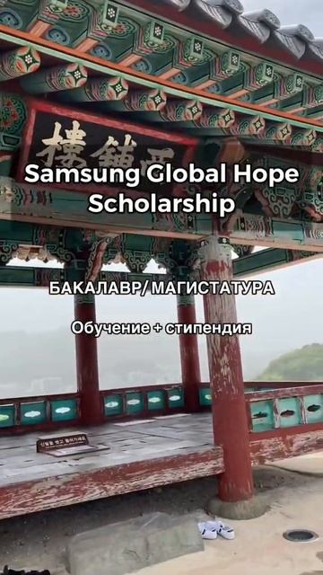 КАК УЧИТЬСЯ В КОРЕЕ БЕСПЛАТНО | ГРАНТЫ И СТИПЕНДИИ В КОРЕЕ | #обучениевкорее #южнаякорея #сеул смотреть онлайн