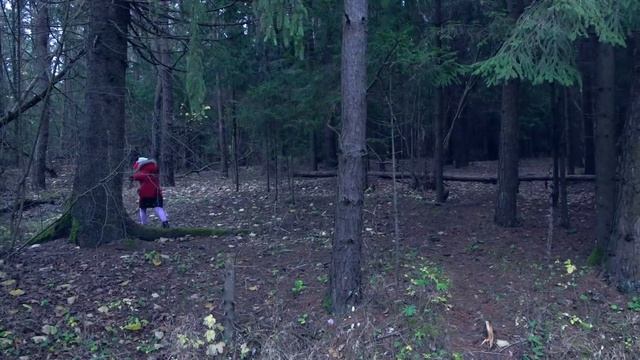 РАДИОАКТИВНЫЙ СИРЕНОГОЛОВЫЙ в Реальной Жизни ! смотреть онлайн