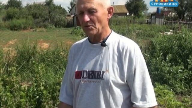 "В помощь садоводам" Крыжовник смотреть онлайн