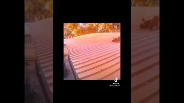 8 июля 2022 г. смотреть онлайн