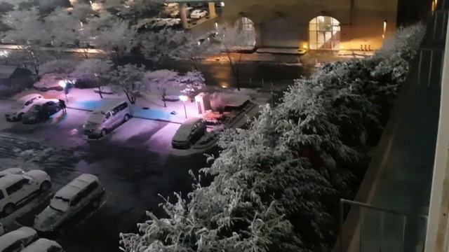 атоми кишки семинар