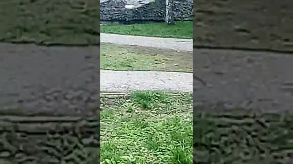 Чем занимаются школьники после школы,😂(1)