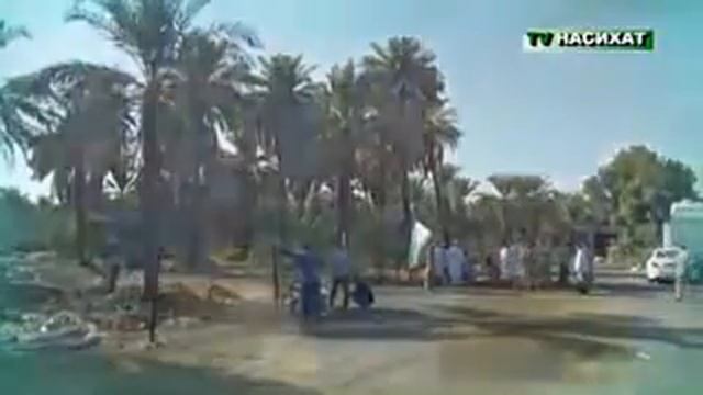 красивый мавлид на аварском смотреть онлайн