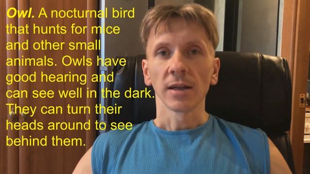 5  Учимся читать OWL