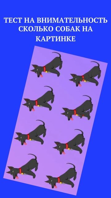 ТЕСТ НА ВНИМАТЕЛЬНОСТЬ   2023 04 27T224901 901