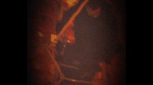 дорс фильм 📽️ 200 на паласе выхода трейлер