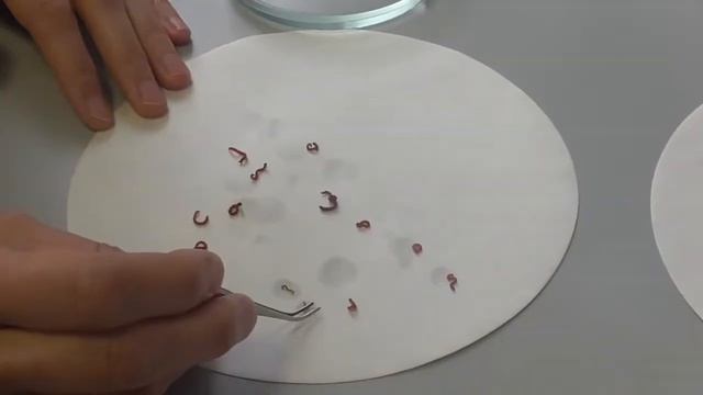 SCIENCE SHORT | А вы любите рыбу? смотреть онлайн