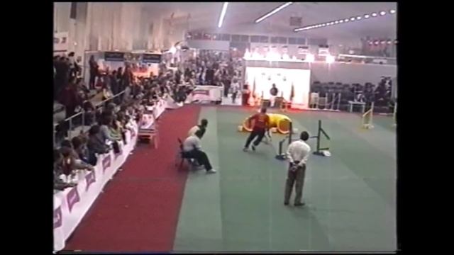 Selectiva Campeonato de España de Agility RSCE 2001 - Torre Pacheco смотреть онлайн